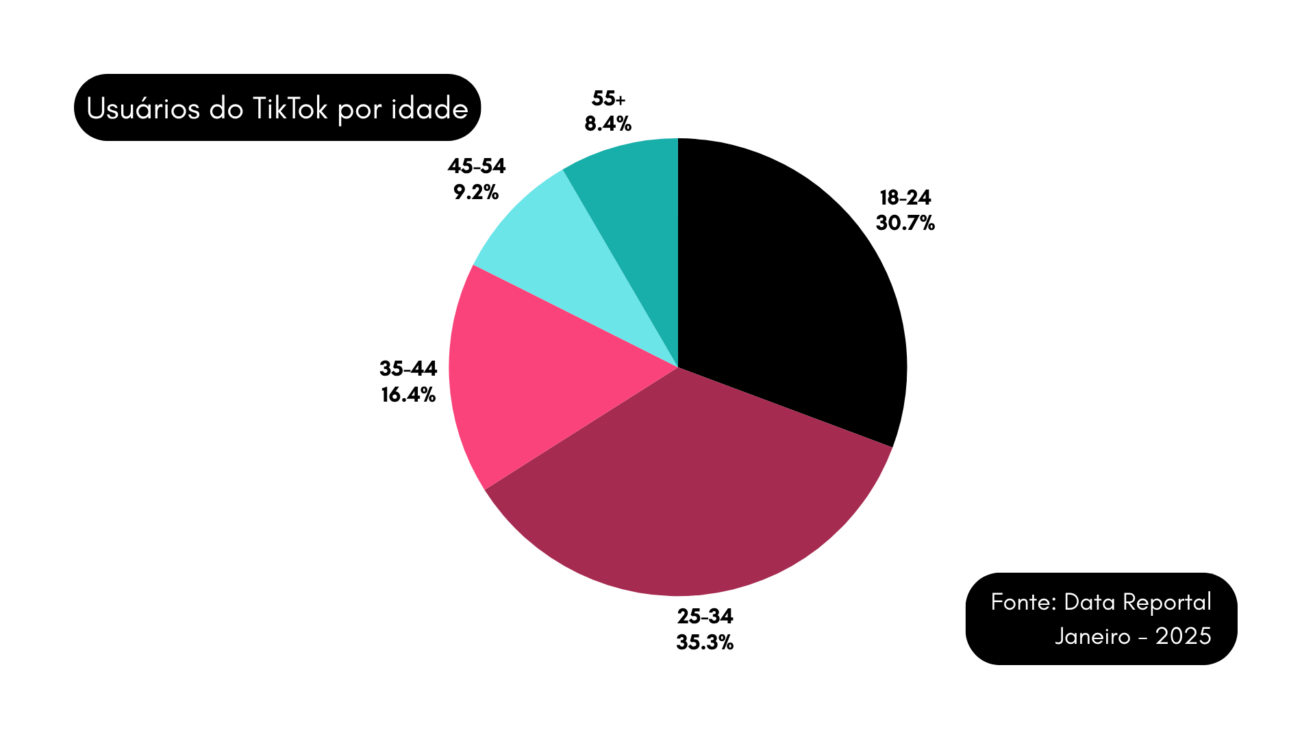 Dados sobre as idades dos usuários do TikTok publicados em janeiro de 2025.